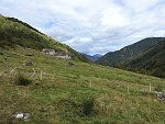 vald16 060